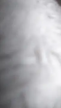 Ajhustler1xh online show from January 9, 11:46 am