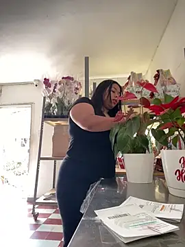 PUSHYLATE online show from December 19, 6:04 pm