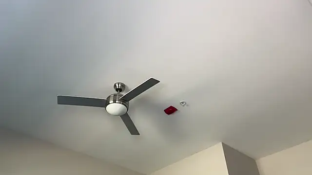 ElenaErickson online show from March 19, 8:32 pm