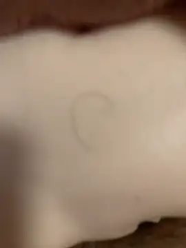 Beijing2000 online show from November 8, 12:55 am