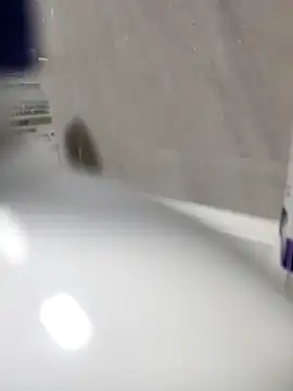 Beijing2000 online show from March 27, 11:32 am