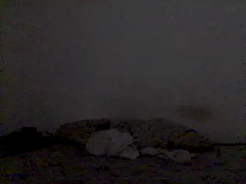 Snapshot of mariy_ chatting on March 3, 9:48 pm mariy  online show from March 3, 9:48 pm