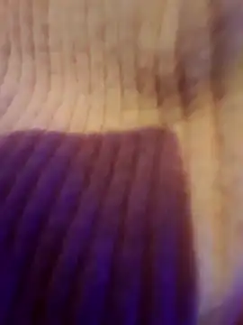 AsStraightAsARuler online show from December 3, 5:04 am