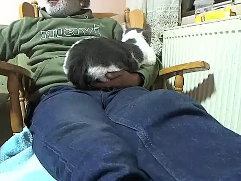 zormen355 online show from November 13, 6:29 pm