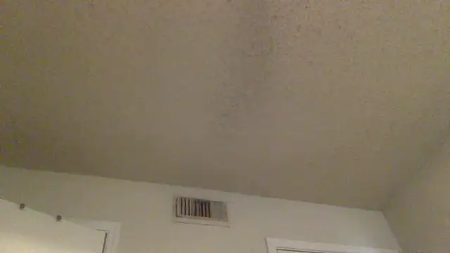 GForceSavage online show from February 25, 6:17 pm