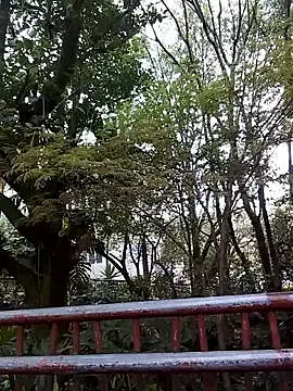 FeloBad online show from May 10, 1:27 pm