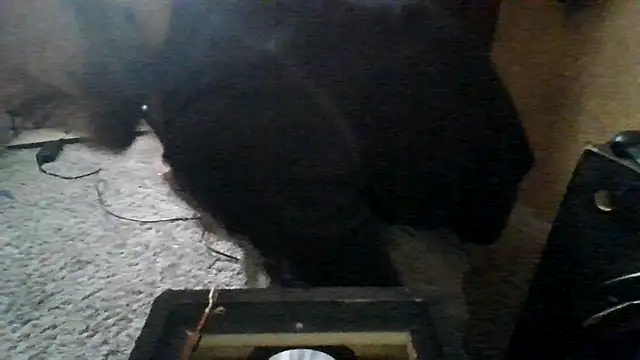 ySqmbVanbe online show from March 15, 5:52 pm