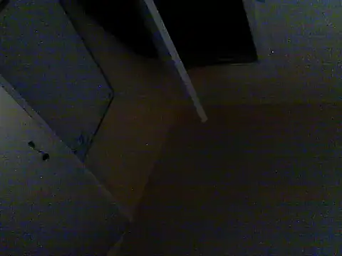 Snapshot of oopsxx chatting on February 17, 5:25 am oopsxx online show from February 17, 5:25 am