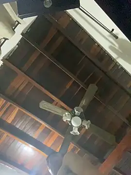 tom thick online show from December 20, 9:54 am