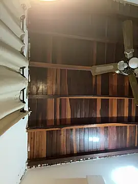 tom thick online show from March 11, 2:32 am