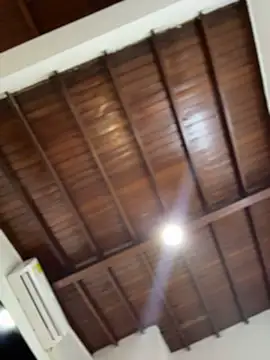 emiss  online show from January 17, 4:33 pm