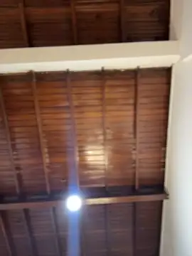 emiss  online show from February 8, 3:59 pm