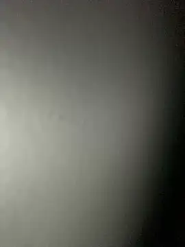 Snapshot of Leyna_liu chatting on February 4, 8:46 am Leyna liu online show from February 4, 8:46 am