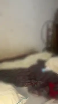 Snapshot of babydick211 chatting on August 7, 1:13 pm babydick211 online show from August 7, 1:13 pm