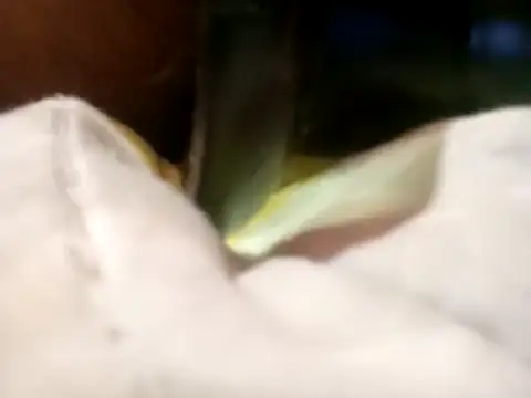 Pcsammy73 online show from November 26, 10:05 am