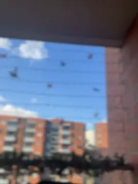 ValerieHilton online show from January 18, 9:45 pm