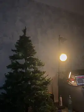 Snapshot of SonyaD_ chatting on December 5, 6:43 am SonyaD online show from December 5, 6:43 am