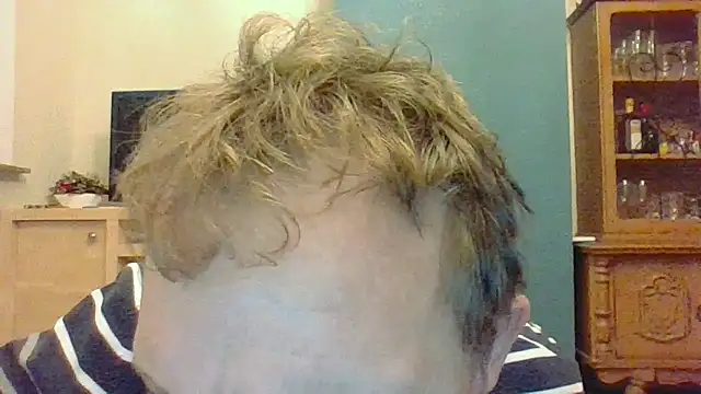 bertolini online show from November 14, 4:38 pm