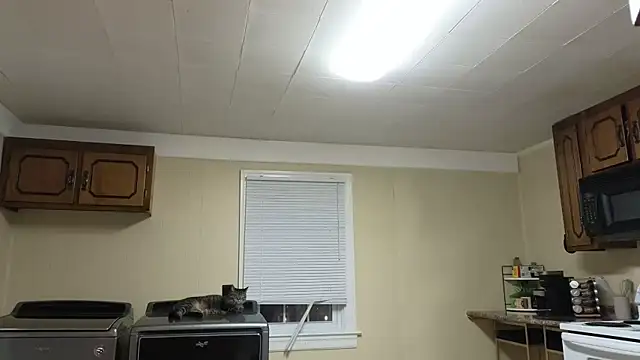 sexylilly69 online show from October 13, 2:00 am