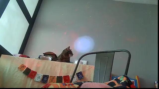 Snapshot of SexWorkerX chatting on February 24, 6:50 pm SexWorkerX online show from February 24, 6:50 pm