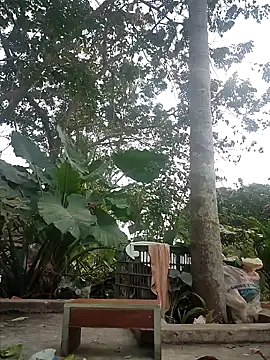 Snapshot of zizi_public chatting on December 30, 7:26 am zizi public online show from December 30, 7:26 am