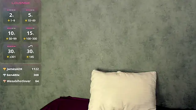 Snapshot of LizzieLight chatting on December 2, 1:36 am LizzieLight online show from December 2, 1:36 am