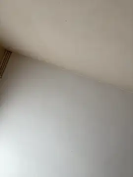 Snapshot of rpotktkkt chatting on November 20, 9:42 am rpotktkkt online show from November 20, 9:42 am