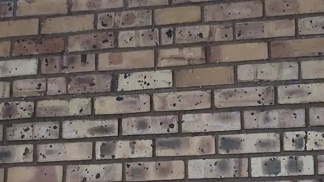 Astoria Moon online show from December 21, 2:15 pm