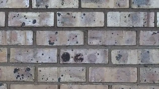 Astoria Moon online show from February 10, 7:07 pm