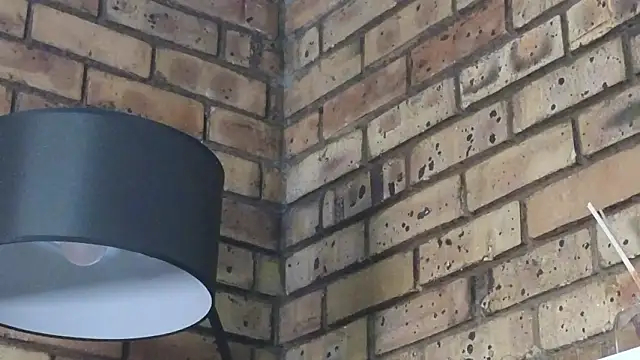 Astoria Moon online show from January 14, 12:22 pm