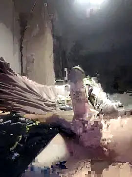 Snapshot of Bi-Sunny chatting on October 11, 4:44 am Bi-Sunny online show from October 11, 4:44 am