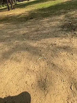 Snapshot of Cum_on_your_tityyy chatting on January 13, 9:03 am Cum on your tityyy online show from January 13, 9:03 am