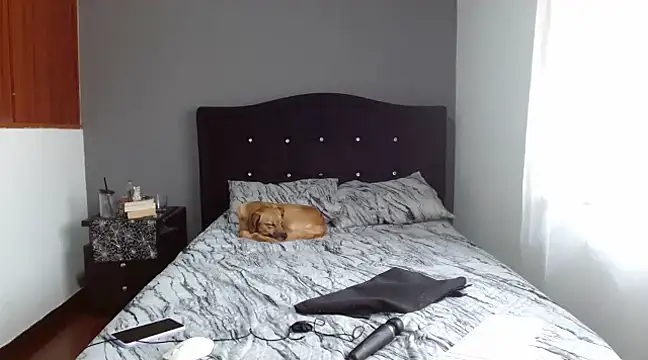 Emilia 1995 online show from February 10, 12:50 pm