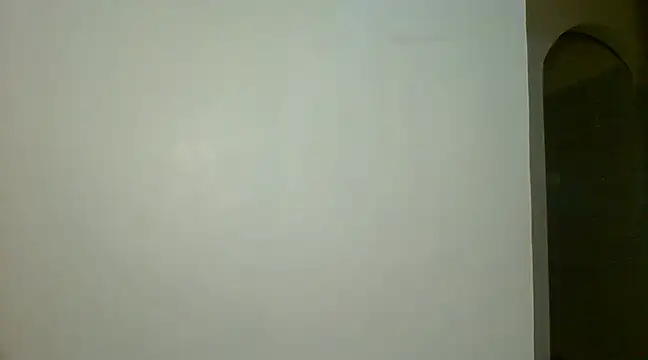 Snapshot of bigassbabe_001 chatting on December 19, 3:07 am bigassbabe 001 online show from December 19, 3:07 am