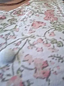 Priya Bong online show from February 24, 3:48 am