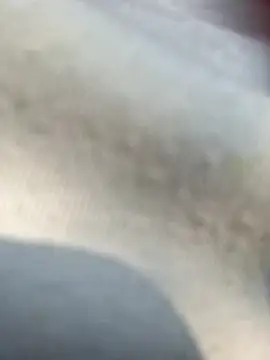 Priya Bong online show from February 25, 4:00 am