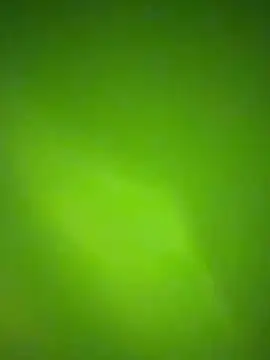 nene fun online show from January 31, 10:08 pm