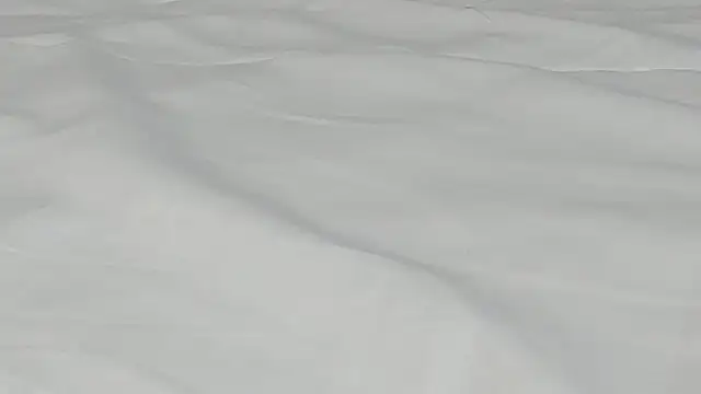 Snapshot of kamila_twink_sexy chatting on March 27, 2:50 pm kamila twink sexy online show from March 27, 2:50 pm