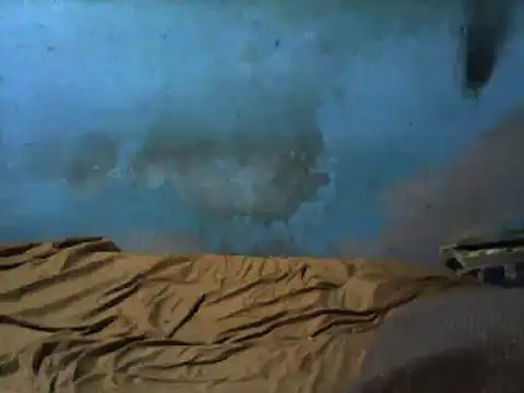 little  joy online show from March 1, 2:37 am