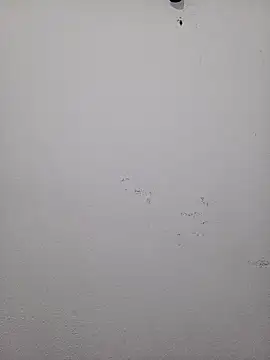 Snapshot of HombreS3n chatting on February 19, 3:28 am HombreS3n online show from February 19, 3:28 am