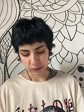  Artemisa X online show from April 17, 4:21 pm