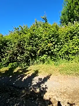 Reinacatchile online show from December 14, 7:36 pm