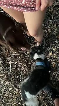 Reinacatchile online show from February 6, 11:58 pm