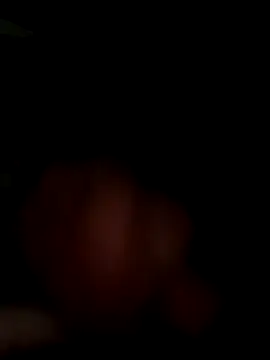 MynameisPaco online show from November 11, 8:53 pm