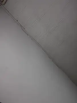 Lorraine Leon online show from February 10, 11:45 pm