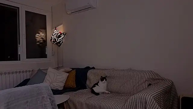 amber quell here online show from November 25, 5:13 pm