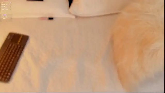 FabianPriince online show from January 14, 6:28 pm