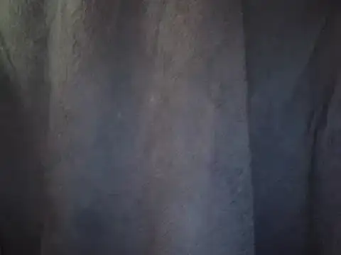 0815lukas2024 online show from February 26, 1:19 pm