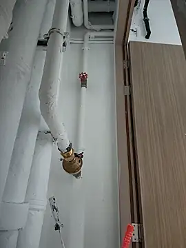 Snapshot of 2tomka52052sex chatting on January 8, 7:03 am 2tomka52052sex online show from January 8, 7:03 am