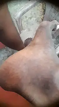 Snapshot of Tamil_boy_age28 chatting on January 14, 12:24 pm Tamil boy age28 online show from January 14, 12:24 pm